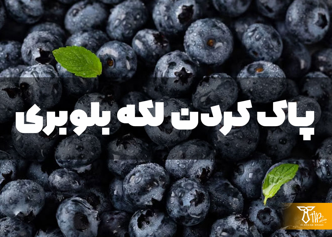 پاک کردن لکه بلوبری از روی لباس 2 پاک کردن لکه بلوبری از روی لباس