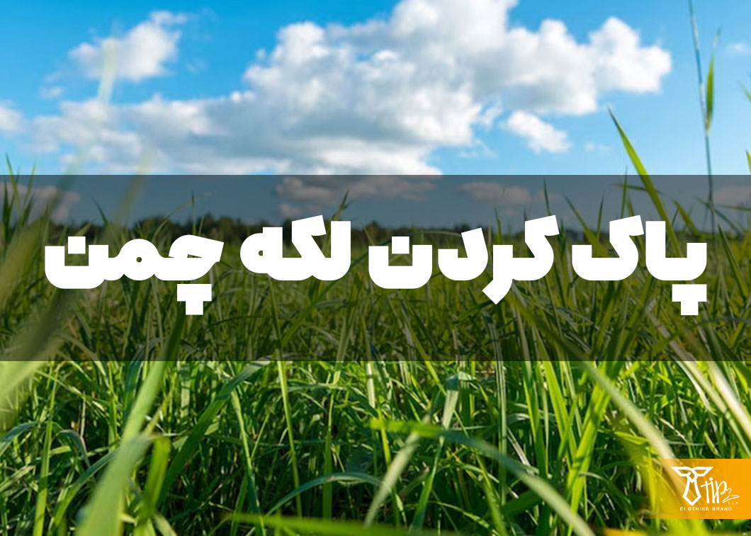 پاک کردن لکه چمن از روی فرش