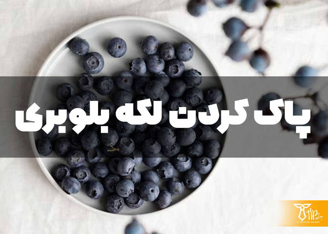 پاک کردن لکه بلوبری از روی مبلمان