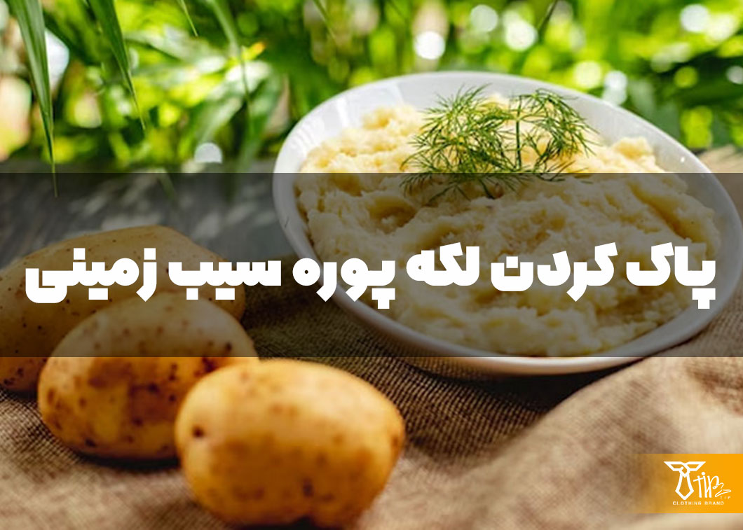 پاک کردن لکه پوره سیب زمینی از روی فرش