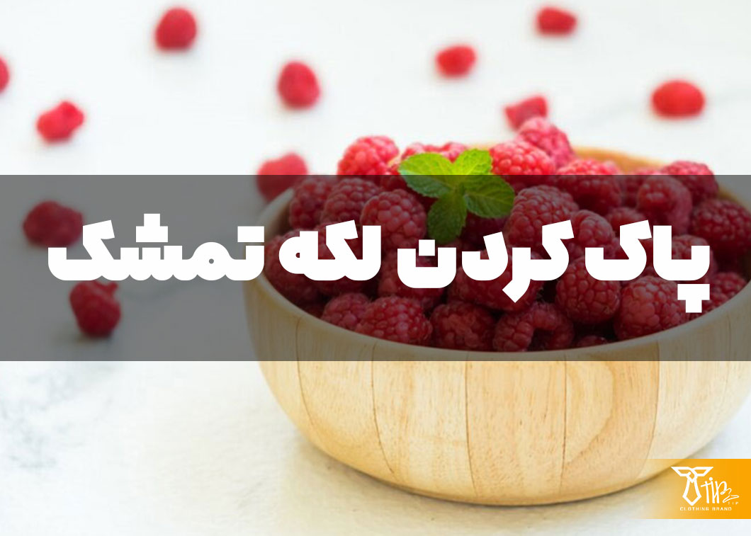 پاک کردن لکه تمشک از روی مبلمان 2 پاک کردن لکه تمشک از روی مبلمان