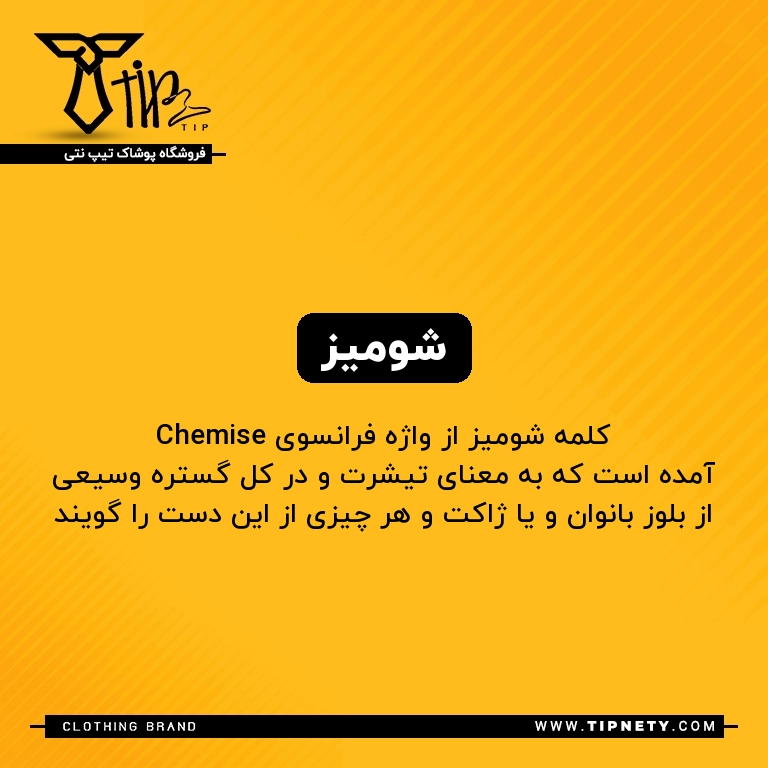 معنی شومیز درفارسی