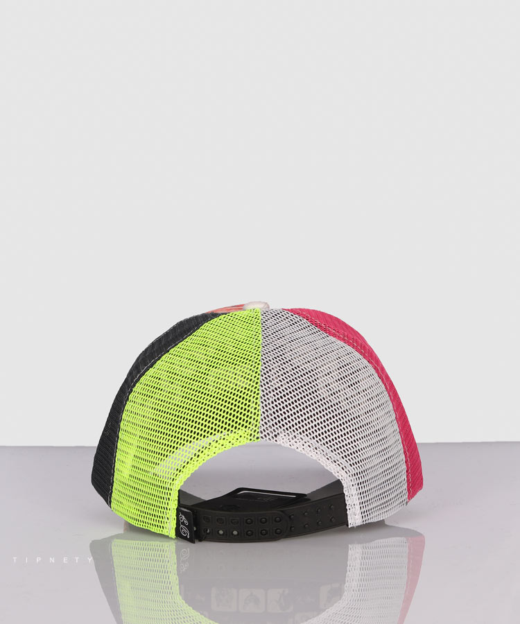     سرخابی کلاه نقابدار 1855  - تصویر 3