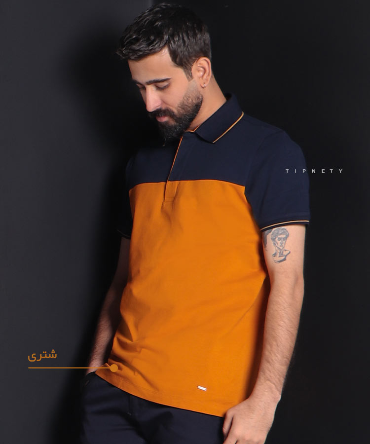                                                                                                                                                                     سورمه ای مشکی شتری سفید بنفش لجنی قرمز تیشرت یقه دار 0313  - تصویر 7