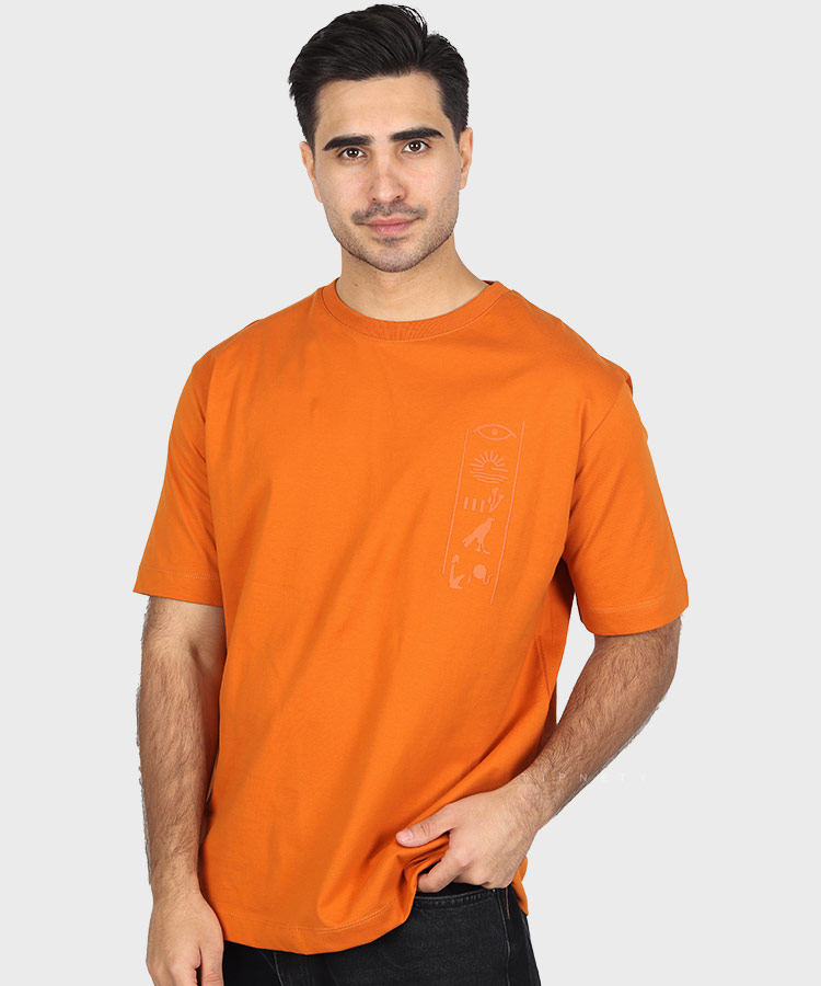 تیشرت لش طرحدار 1650