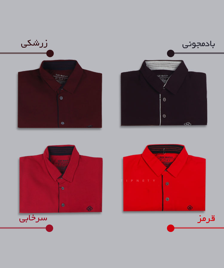                                                                                                   گلبهی سرخابی زرشکی بادمجانی قرمز صورتی کالباسی یاسی تیشرت یقه دار 6207  - تصویر 13