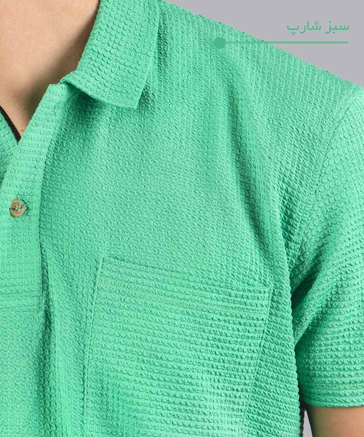                                                                                                                                             طوسی کرم سبز شارپ مشکی سفید زیتونی تیشرت یقه دار 2217  - تصویر 3