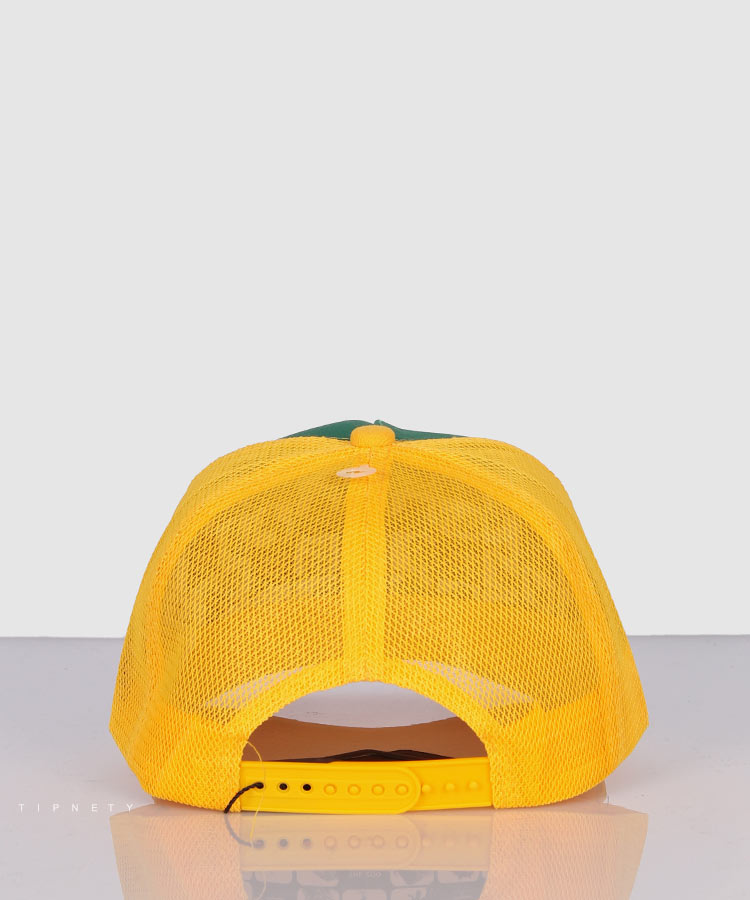     زرد کلاه نقابدار 1852  - تصویر 3