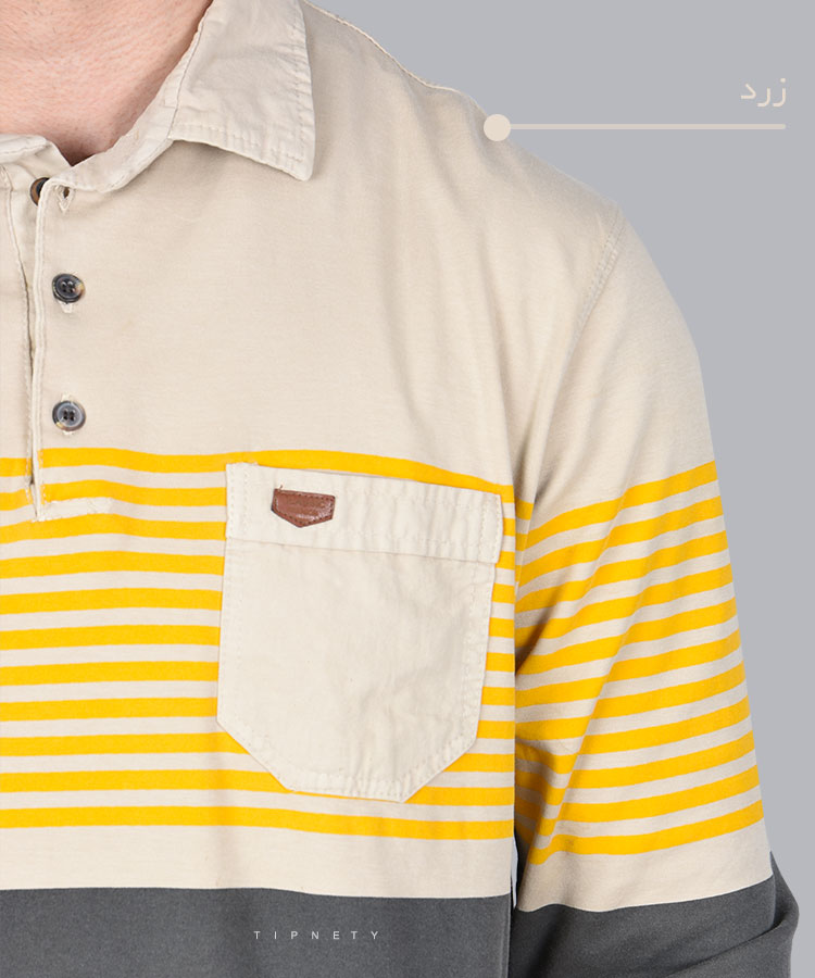                                                                                           ذغالی زرد آبی سبز پاییزه تیشرت 0905  - تصویر 4