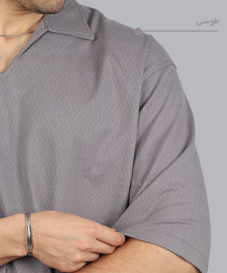                                                                                                                                                                                                 طوسی کرم مشکی سفید لجنی تیشرت لش 1601  - تصویر 9