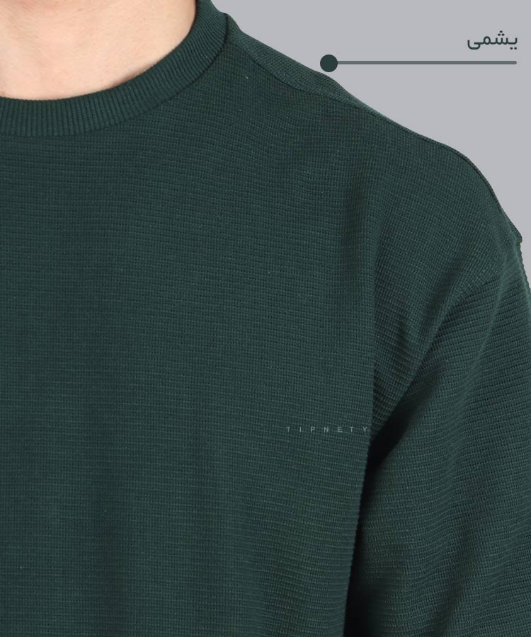                                                                                                                                                 کرم سفید لجنی یشمی دودی سبز مشکی سورمه ای تیشرت لش 1599  - تصویر 13