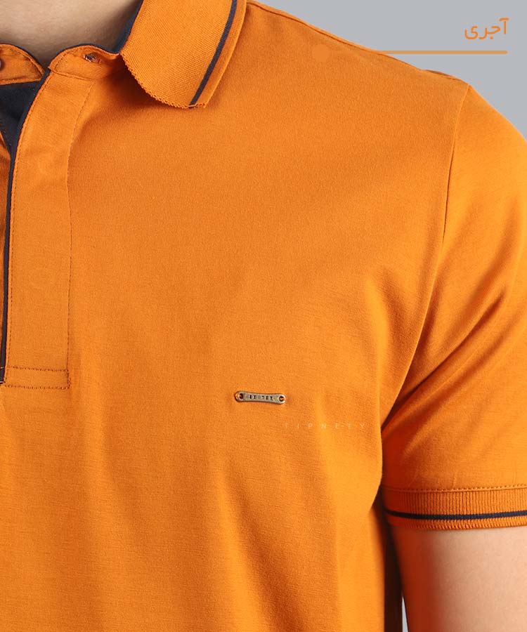                                                                                                                                                                                                                             زیتونی لجنی سبز نوک مدادی زرشکی سورمه ای آجری سفید مشکی تیشرت یقه دار 0556  - تصویر 13