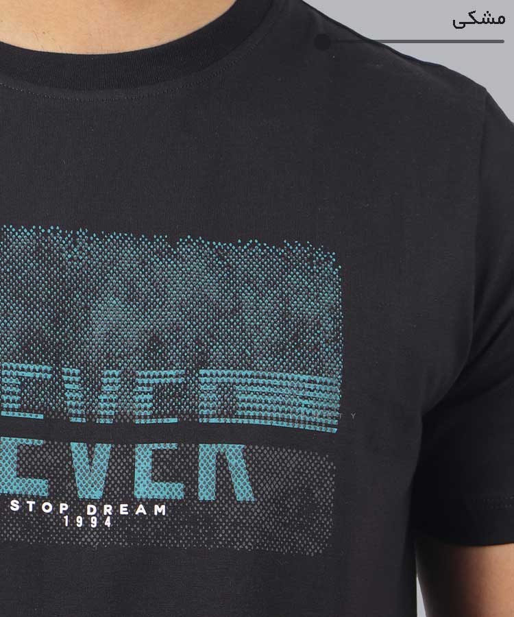                                                                                                 مشکی نفتی سبز سفید طوسی   تیشرت چاپی 1615  - تصویر 9
