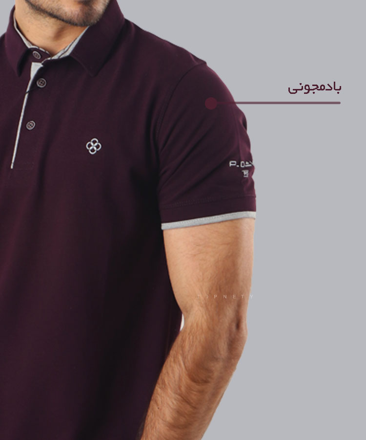                                                                                                                     گلبهی سرخابی زرشکی بادمجانی قرمز صورتی کالباسی یاسی تیشرت یقه دار 6207  - تصویر 8