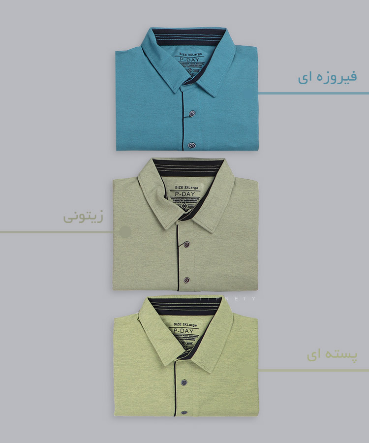                                                             زیتونی صورتی مات پسته ای فیروزه ای تیشرت سایز بزرگ 6403  - تصویر 3