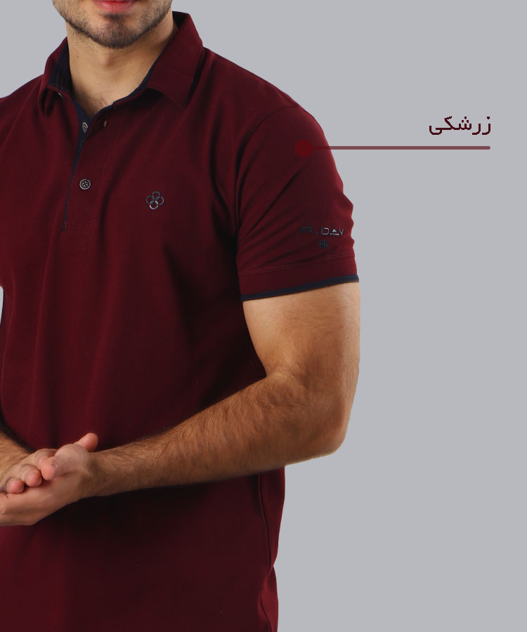                                                                                                                     گلبهی سرخابی زرشکی بادمجانی قرمز صورتی کالباسی یاسی تیشرت یقه دار 6207  - تصویر 5