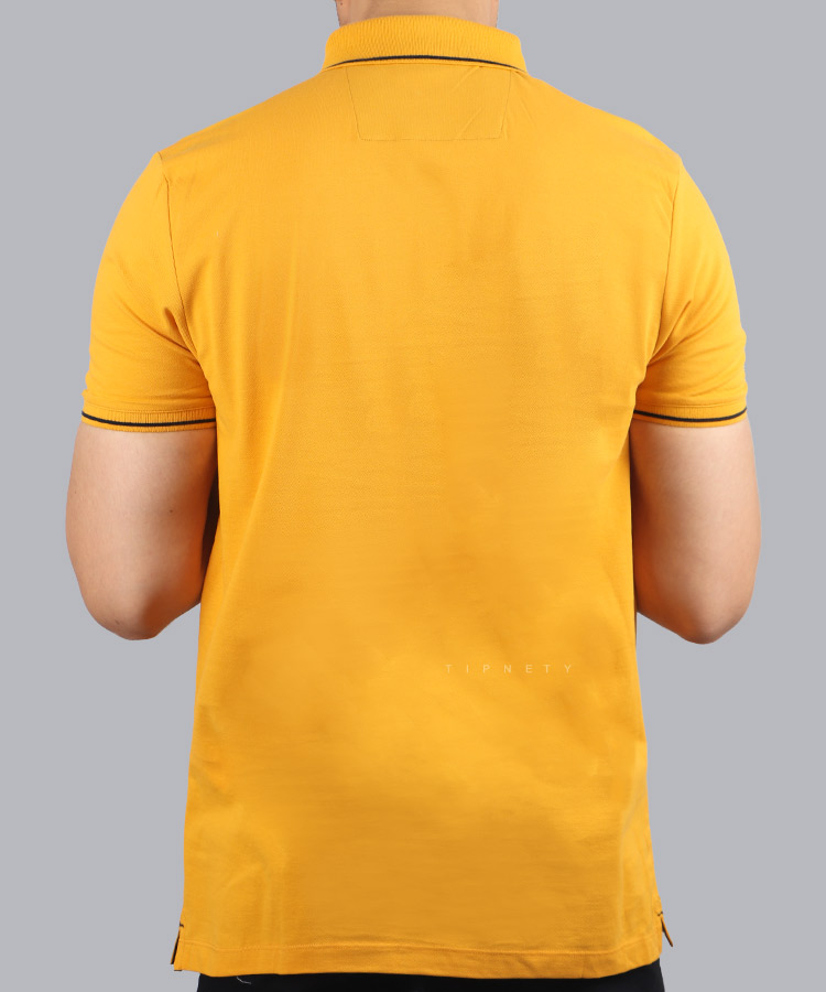                                                             مات                               دارچینی ملانژ سفید خردلی زرشکی   مات صورتی یشمی زیتونی طوسی قرمز آجری نفتی نوک مدادی لجنی سورمه ای مشکی کاربنی ذغالی صدری تیشرت یقه دار 2039  - تصویر 3