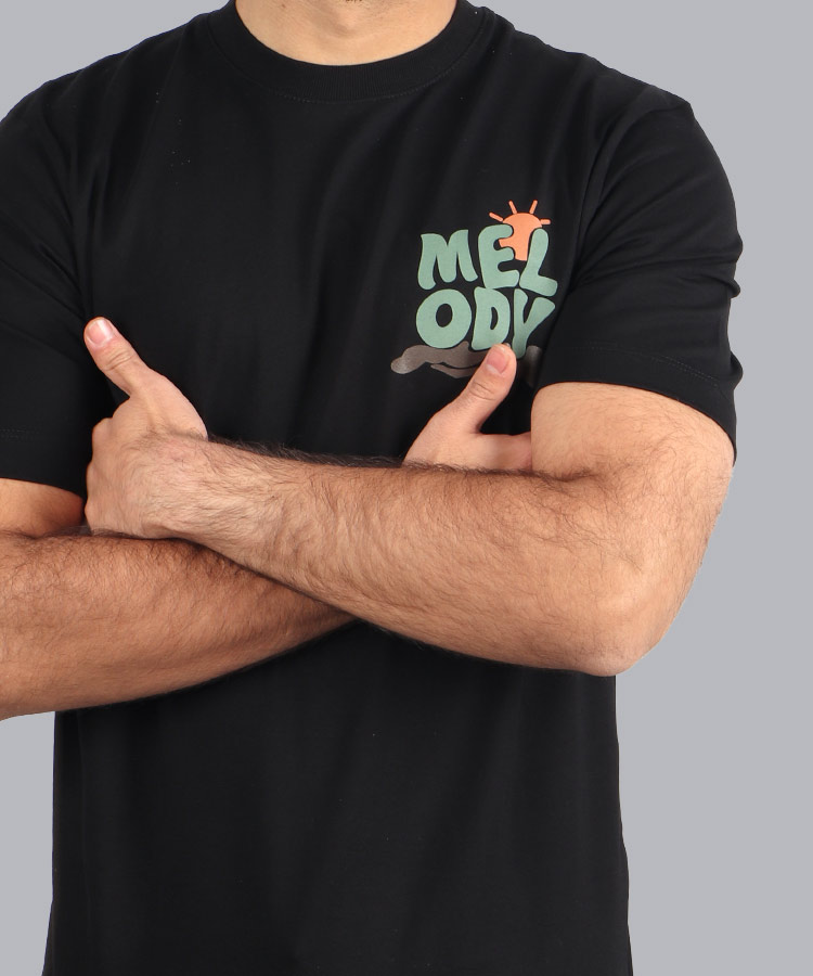 تیشرت طرح دار مردانه ملودی 1329