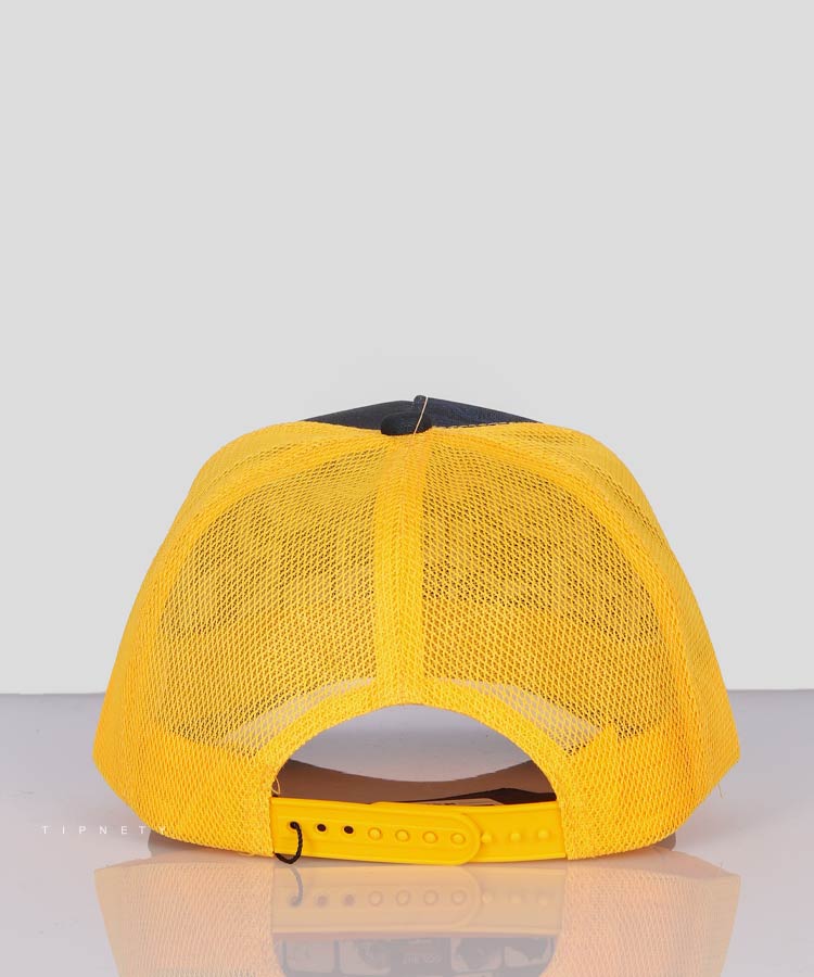     سورمه ای کلاه نقابدار 1862  - تصویر 3