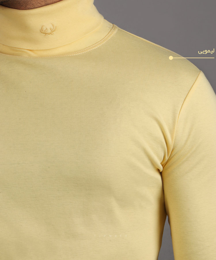                                                                                                                                                                                                                                                                                         کالباسی خردلی سورمه ای قرمز صدری لیمویی پاییزه یقه اسکی 6020  - تصویر 7