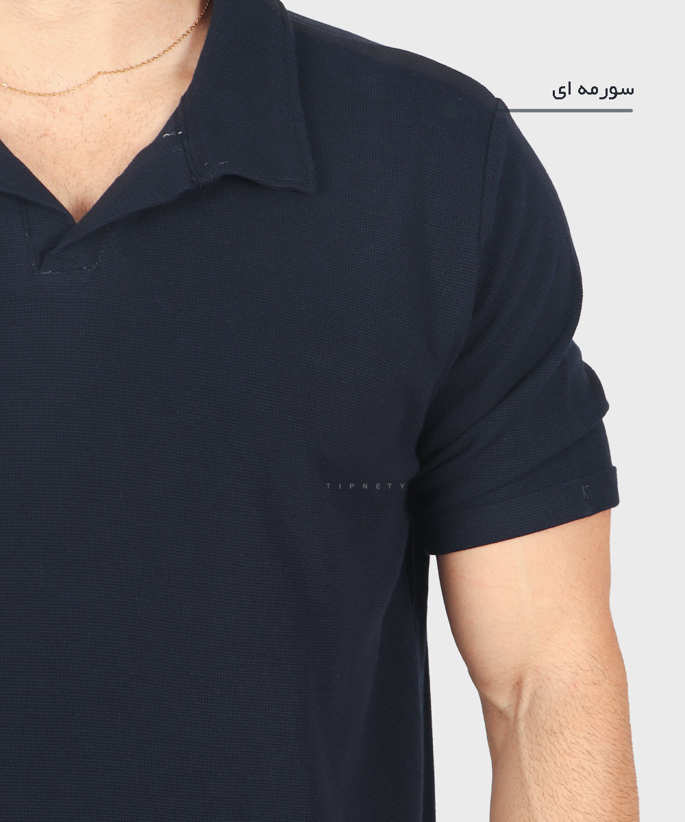                                     کرم روشن سورمه ای دودی صدری خاکی یشمی آبی روشن مشکی تیشرت یقه دار 1741  - تصویر 8