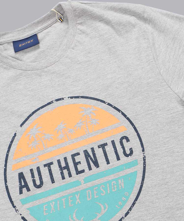 تیشرت طرح دار مردانه ملانژ 0438