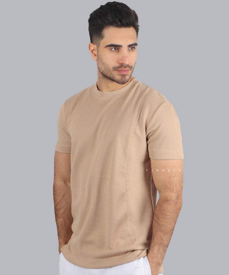 تیشرت ساده مردانه بیسکوییتی 1288