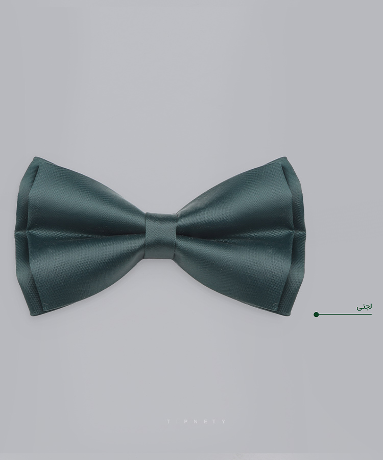                                                                         تک مشکی سورمه ای قرمز صورتی نفتی زرشکی آبی لجنی بنفش خردلی   پاپیون ساده 7002  - تصویر 7