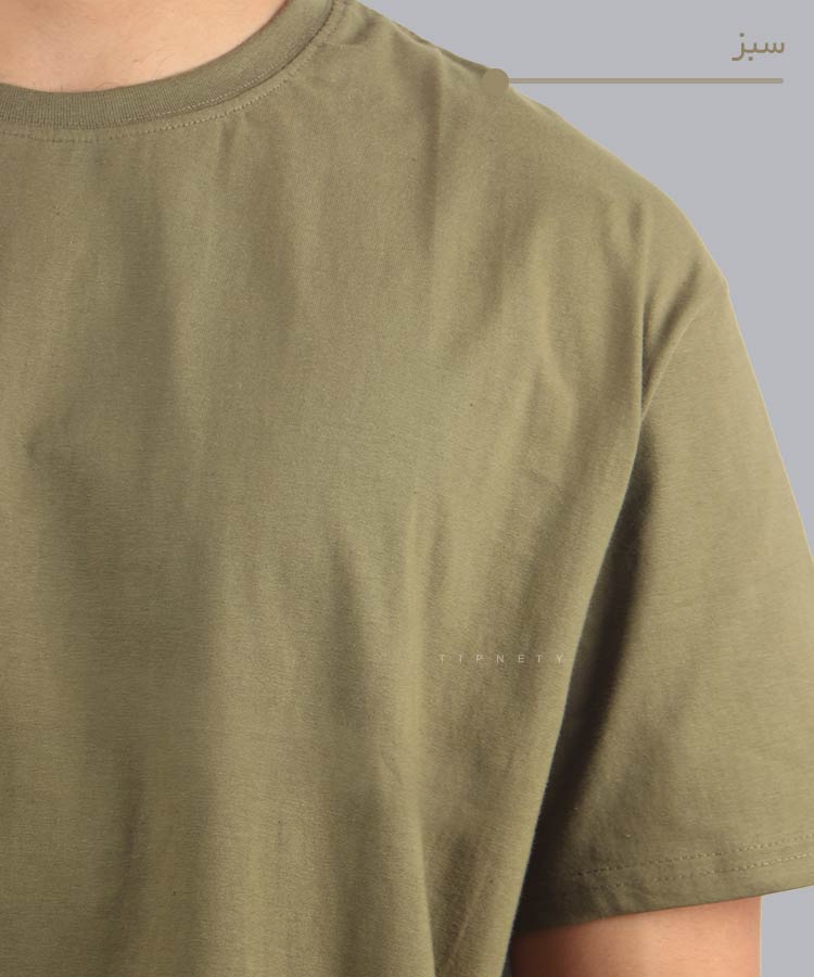                                                                                     سفید طوسی سبز نارنجی مشکی تیشرت لش 5531  - تصویر 2