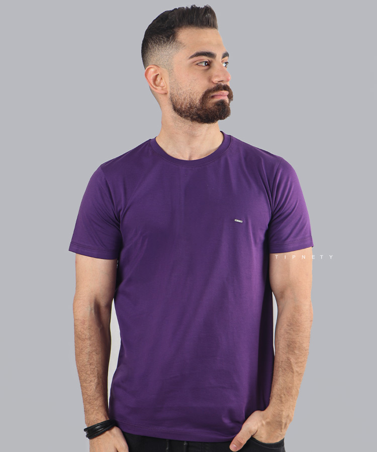 تیشرت ساده بنفش مردانه برند تیپ نتی 9157