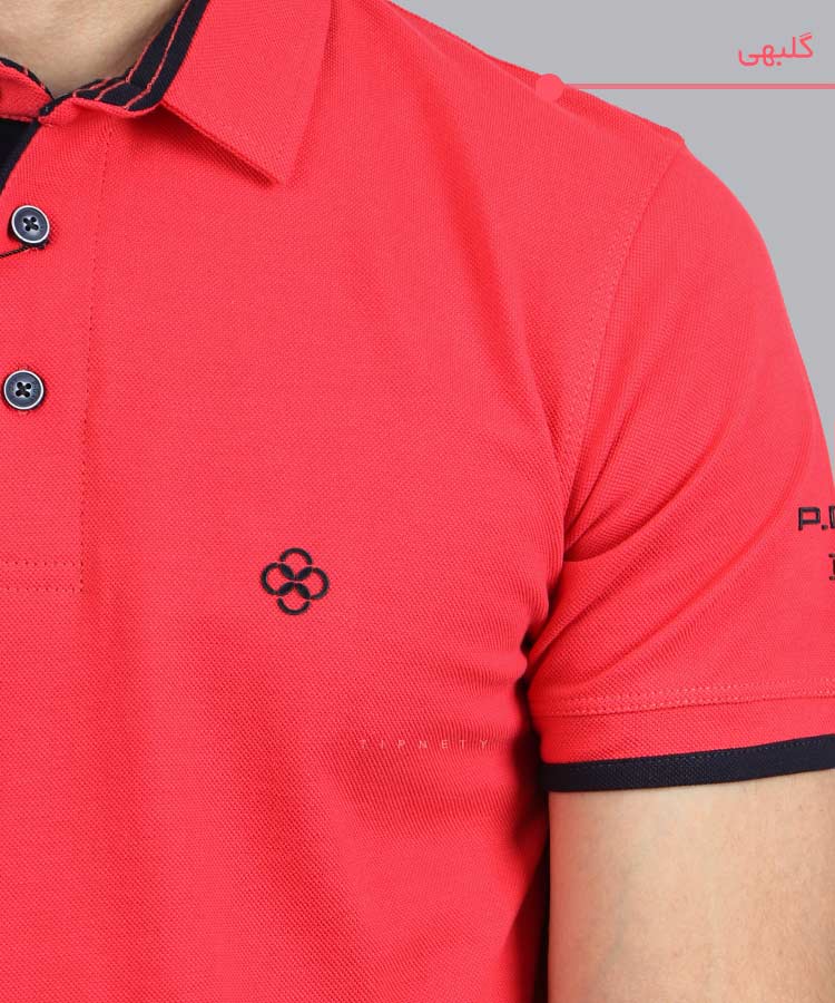                                             گلبهی سرخابی زرشکی بادمجانی قرمز صورتی کالباسی یاسی تیشرت یقه دار 6207  - تصویر 10