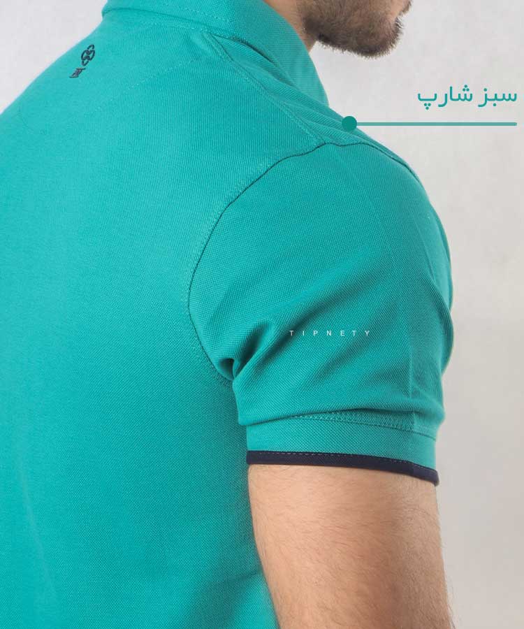                                 شارپ                 شارپ                 شارپ                 شارپ                 شارپ                 شارپ                 شارپ                 شارپ               صدری   شارپ حنایی زیتونی یشمی لجنی سبز پسته ای تیشرت یقه دار 6202  - تصویر 8