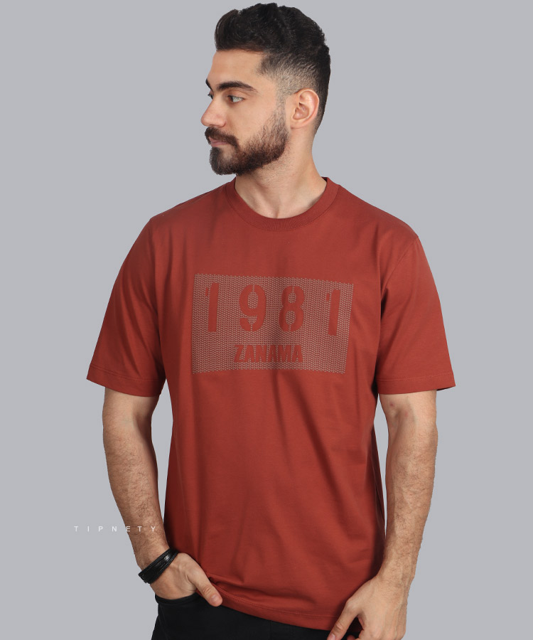 تیشرت طرح دار مردانه 1372
