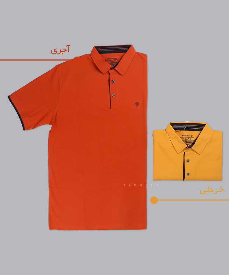                 زرد خردلی آجری         تیشرت سایز بزرگ 6203  - تصویر 3