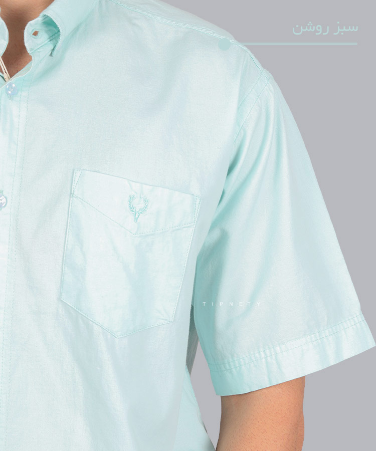                                                                             سبز روشن سفید نوک مدادی زرد نارنجی پسته ای گلبهی آبی شتری شکلاتی تک پیراهن آستین کوتاه کلاسیک 0731  - تصویر 3