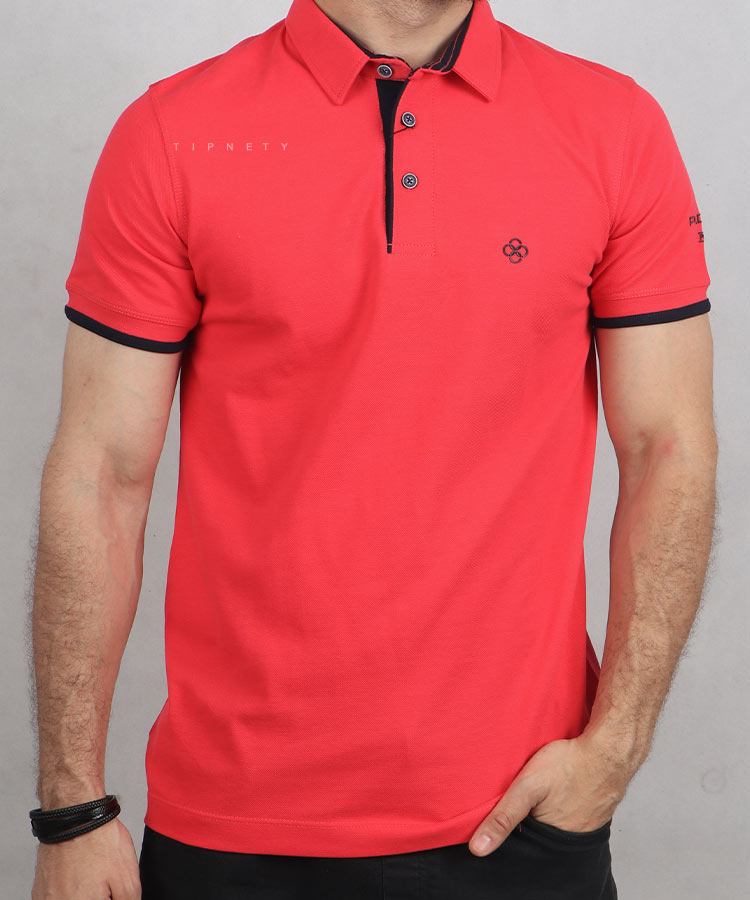                                             گلبهی سرخابی زرشکی بادمجانی قرمز صورتی کالباسی یاسی تیشرت یقه دار 6207  - تصویر 4