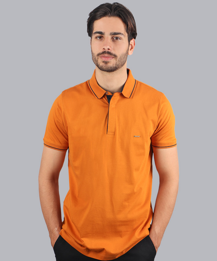                                                                                                                                                                                                                             زیتونی لجنی سبز نوک مدادی زرشکی سورمه ای آجری سفید مشکی تیشرت یقه دار 0556  - تصویر 6