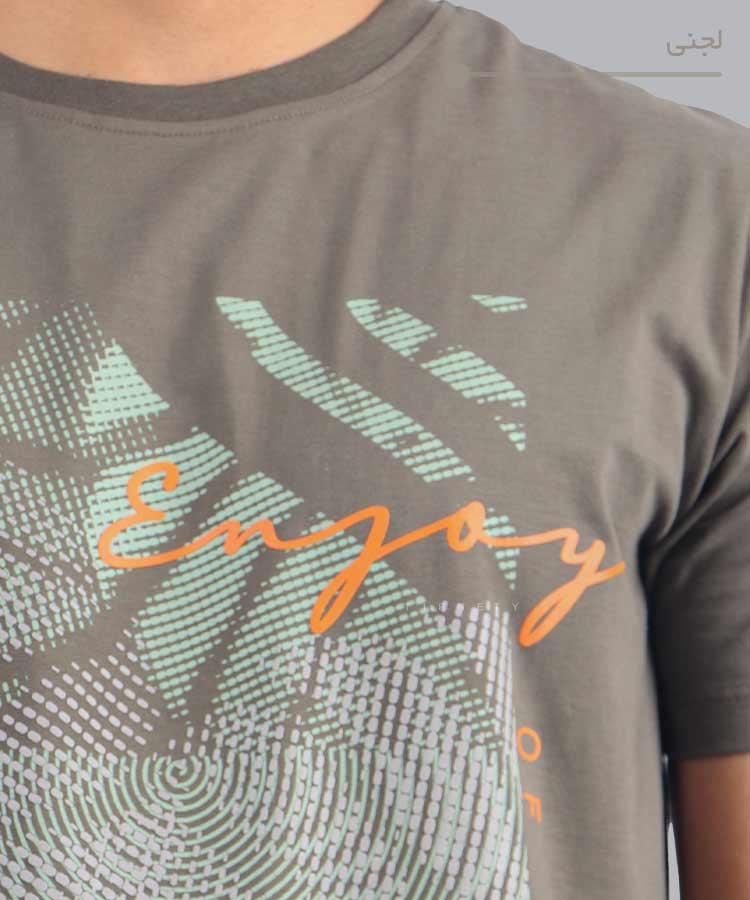                                                                                                                                                                                       آبی کرم لجنی سفید مشکی طوسی تیشرت چاپی 1621  - تصویر 9