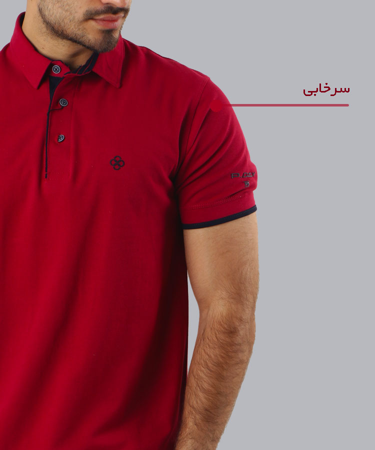                                                                                                                     گلبهی سرخابی زرشکی بادمجانی قرمز صورتی کالباسی یاسی تیشرت یقه دار 6207  - تصویر 6