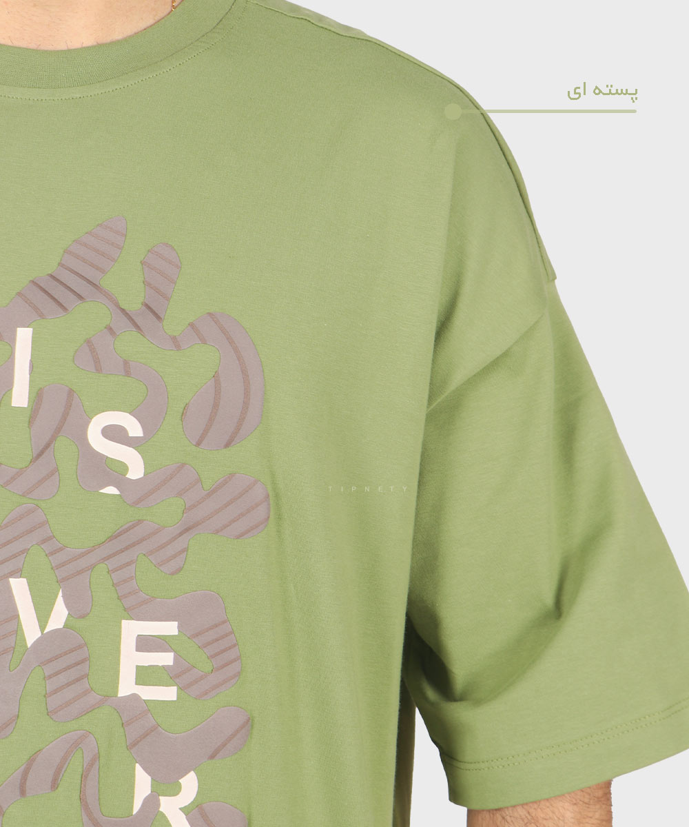                                         کاربنی یاسی لجنی کله غازی خاکی دودی پسته ای سبز سفید تیشرت لش 1729  - تصویر 11