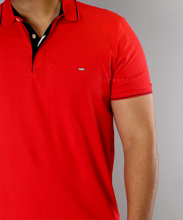       مات                                           مات                                           مات                                           مات                                                                                                         مات                               دارچینی ملانژ سفید خردلی زرشکی   مات صورتی یشمی زیتونی طوسی قرمز آجری نفتی نوک مدادی لجنی سورمه ای مشکی کاربنی ذغالی صدری تیشرت یقه دار 2039  - تصویر 9