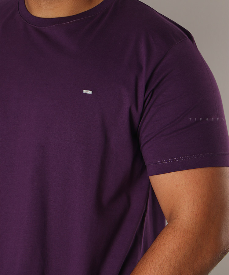 تیشرت ساده بادمجانی مردانه 9158