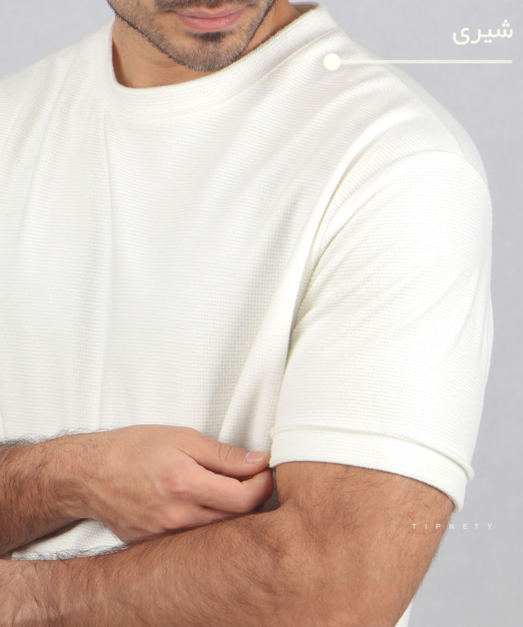                                                                                                                                             سبز مشکی طوسی کرم شیری نوک مدادی تیشرت لش 1268  - تصویر 4